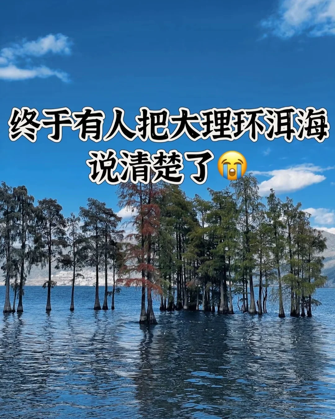 在大理包车的看过来