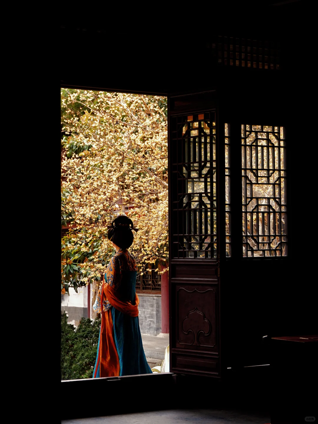 南京腊梅封神了!来南京必去的3个赏梅点!