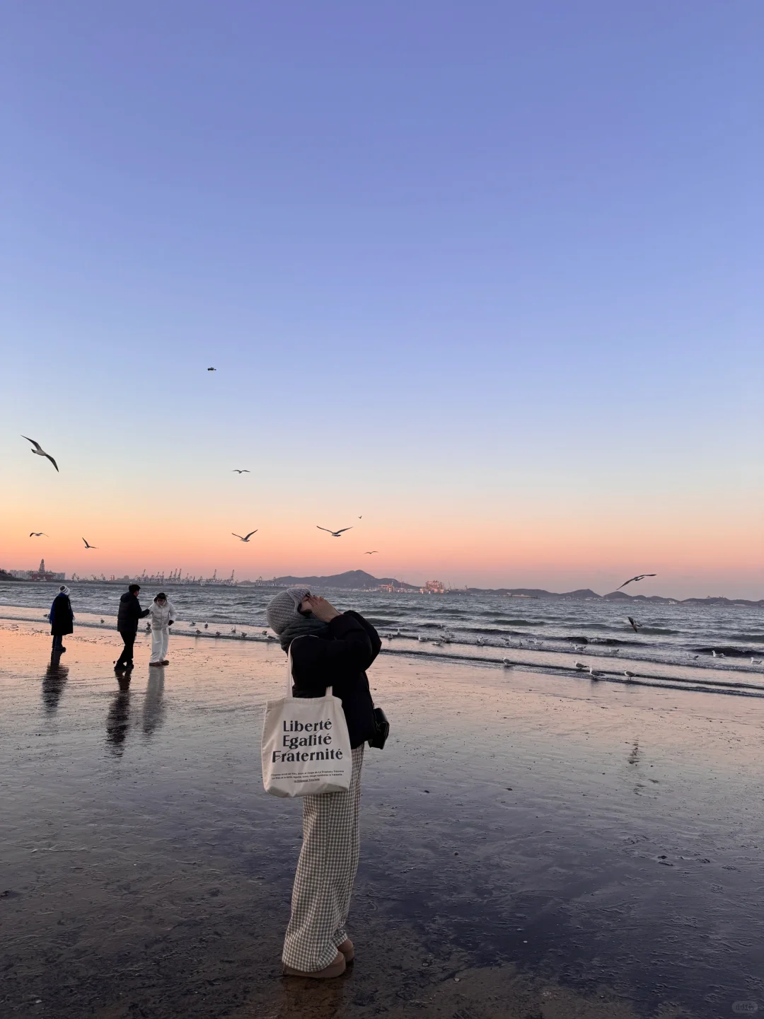 淡季的大连真的是人间理想（18图Live）