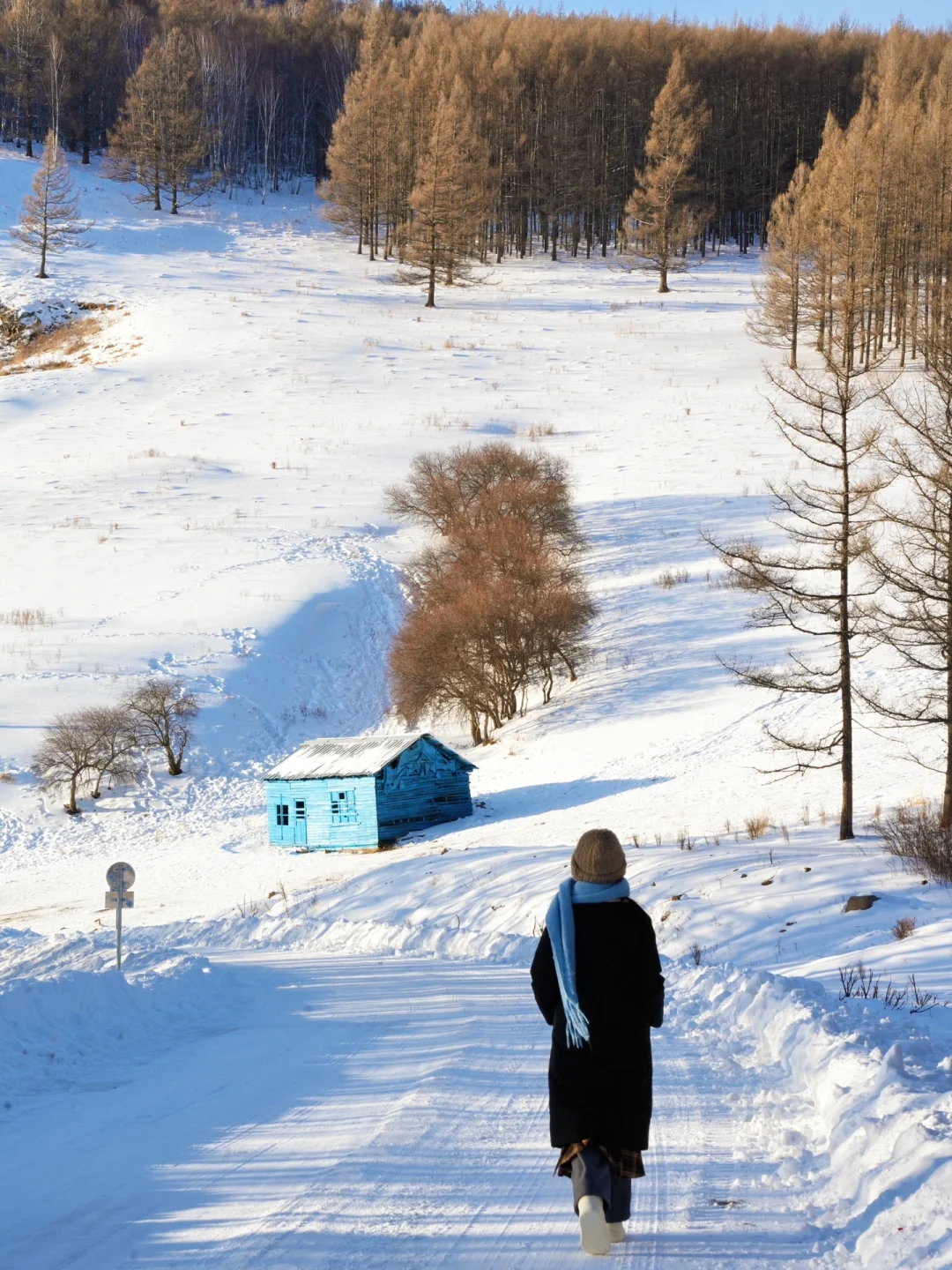 发现一座冬日浪漫小城，live绝了！（附攻略）