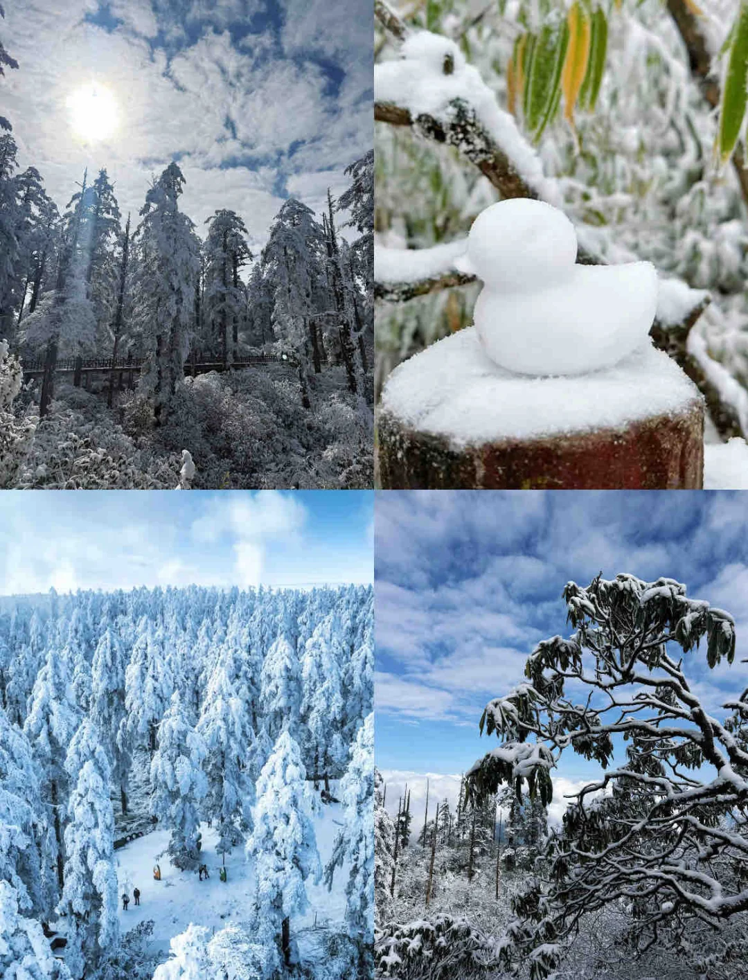 📍人生无解，瓦屋撒野