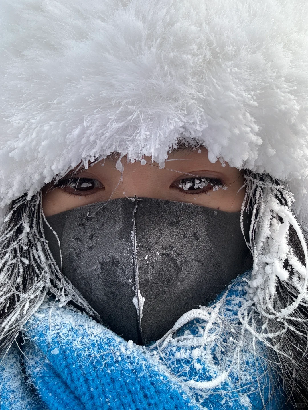 一个人漠河三日游(纯公共交通)