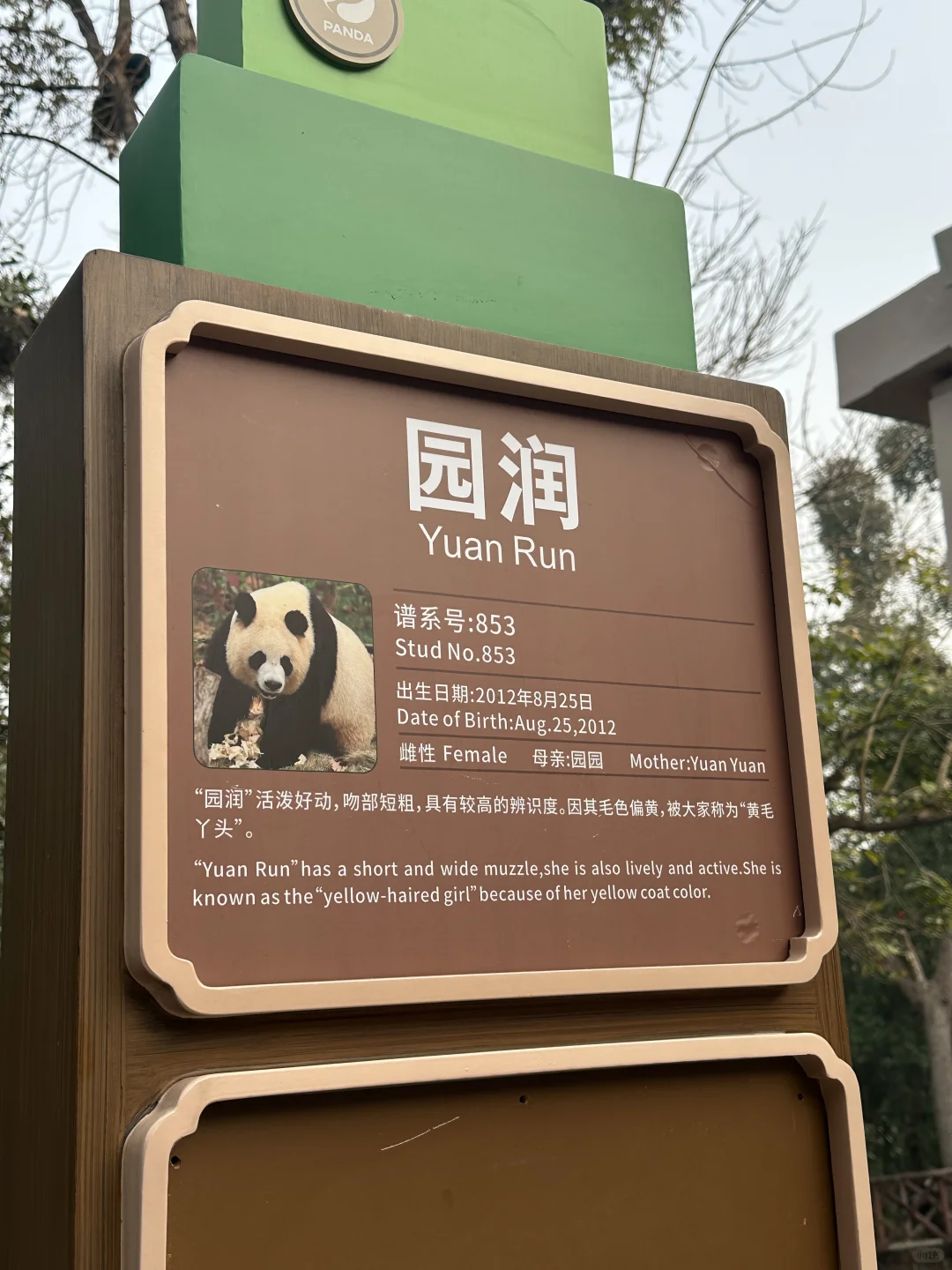 石家庄到成都三天两晚旅游攻略