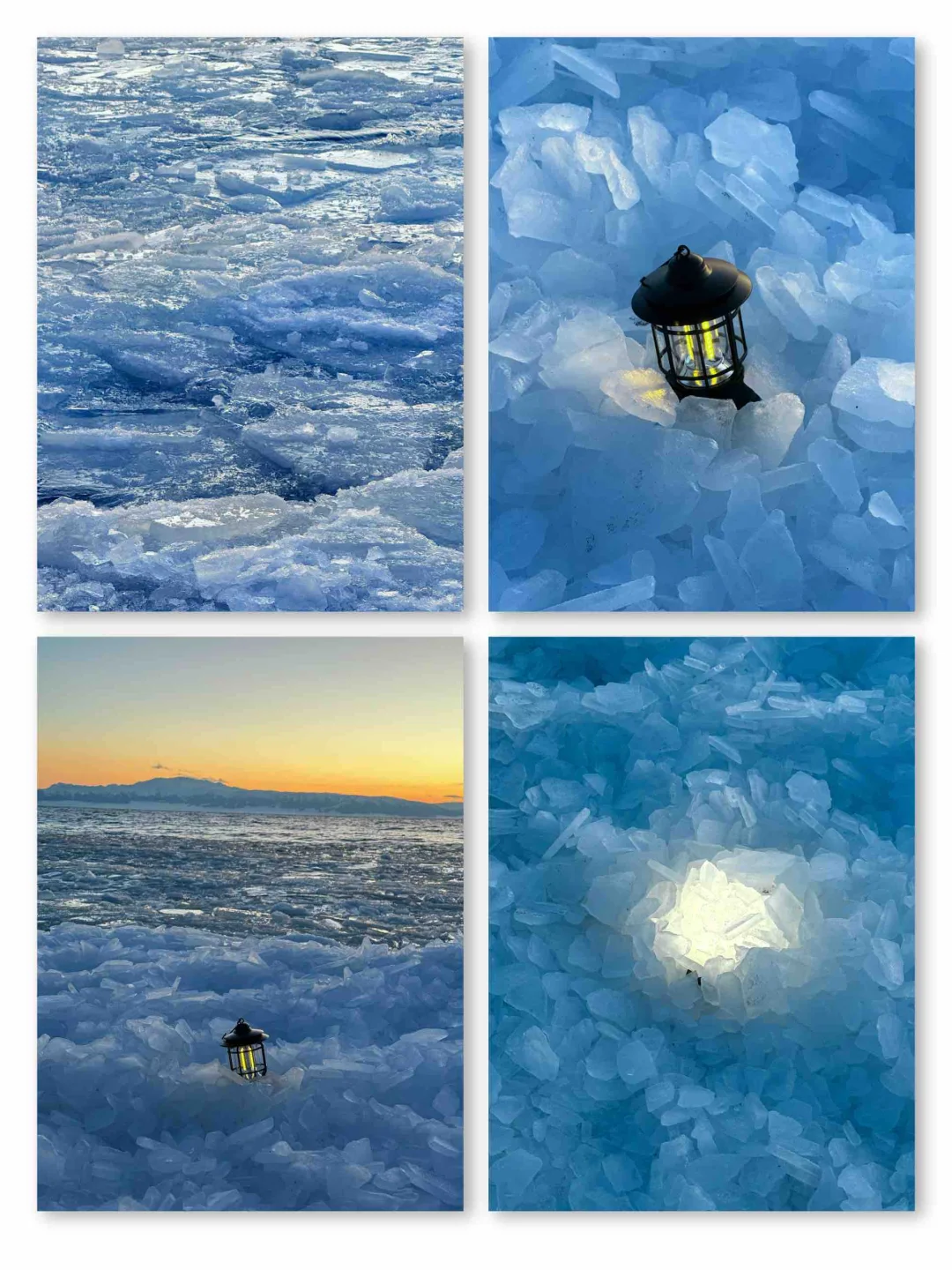 1.2今日赛里木湖实况，终于看到了雪地天鹅