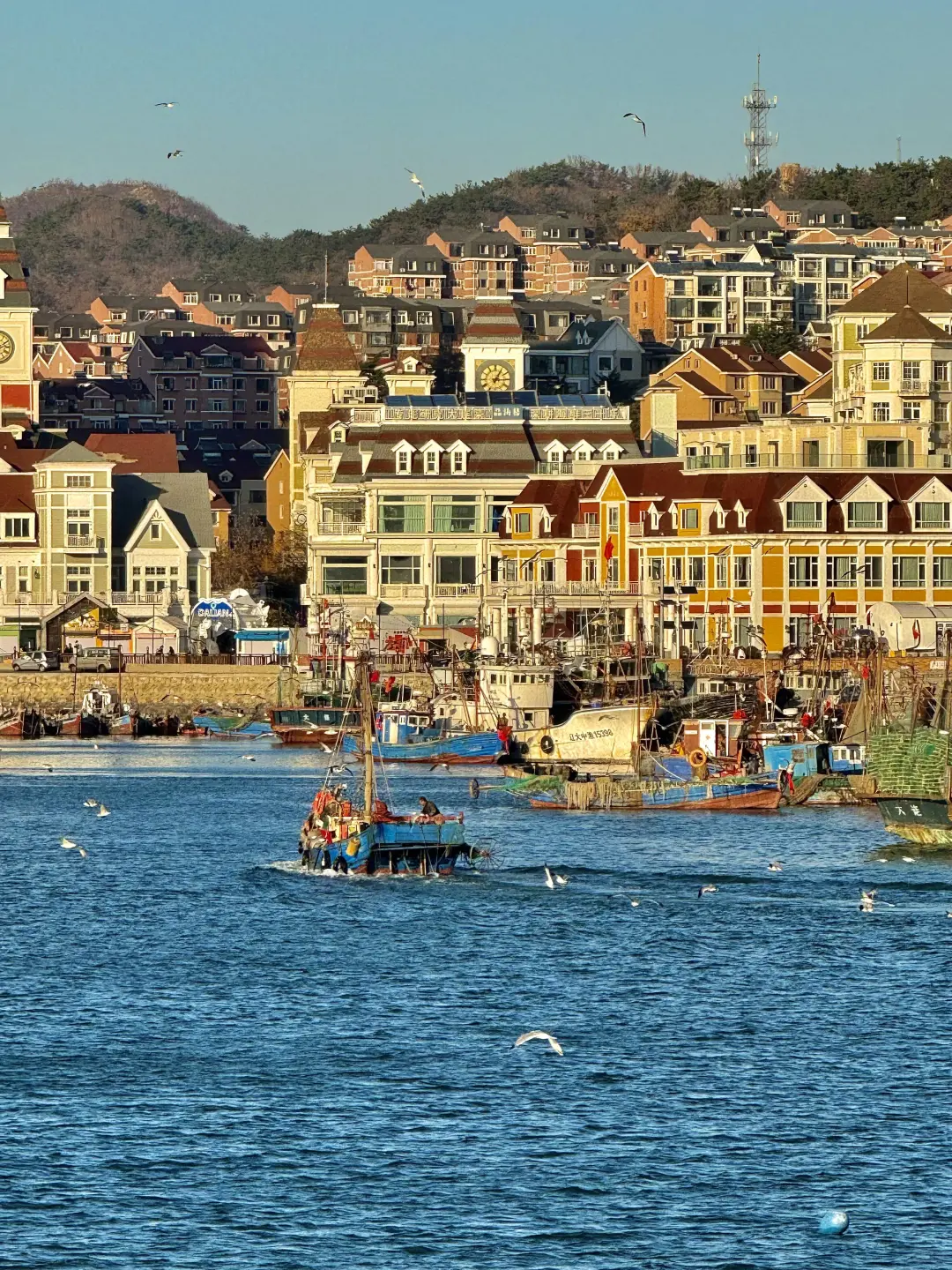 大连淡季旅游新通知📣速速查看✅