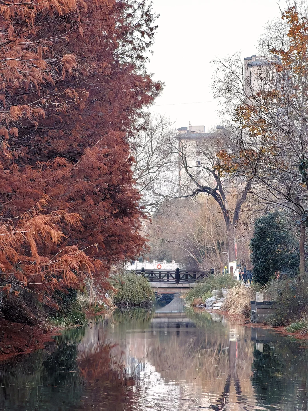 反向旅游｜盐城—盐渎公园