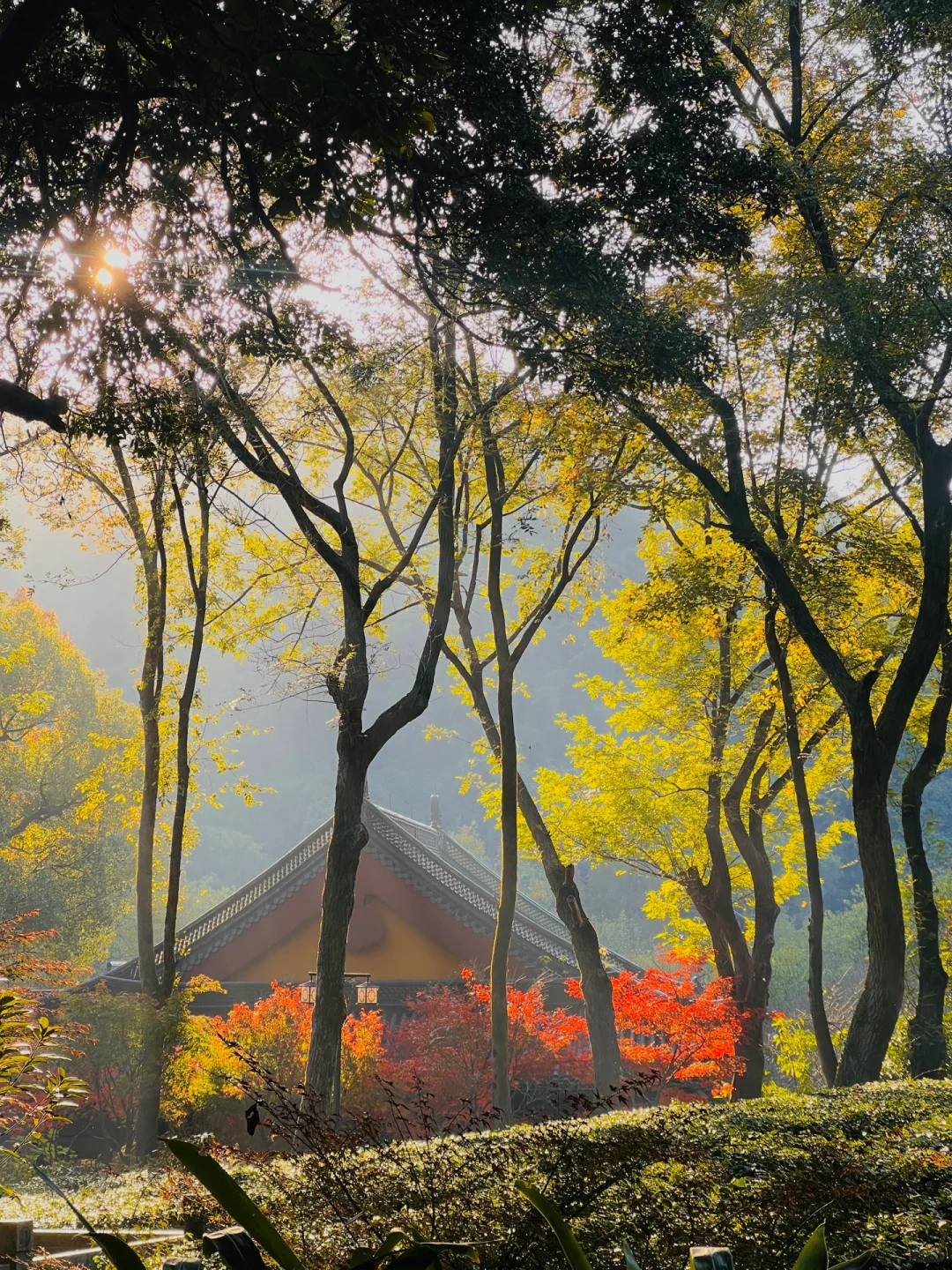 在杭州，我只去这5个地方