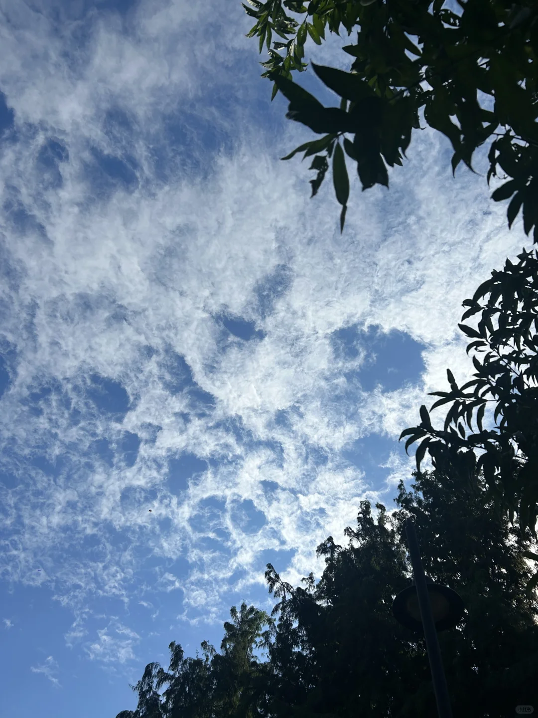 玄武湖＝“原谅世界湖”🌊 南京最大能量场！