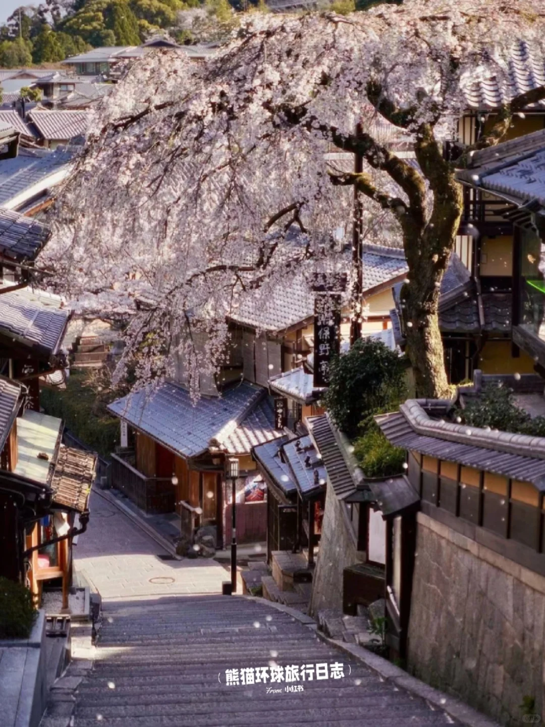 抄作业‼️给姐妹👭整理的日本超全攻略✨