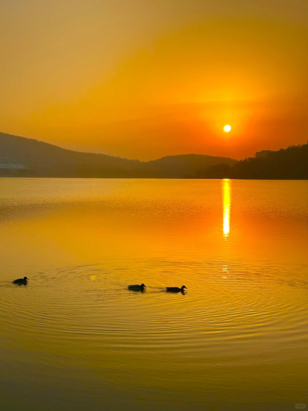 玄武湖＝“原谅世界湖”🌊 南京最大能量场！