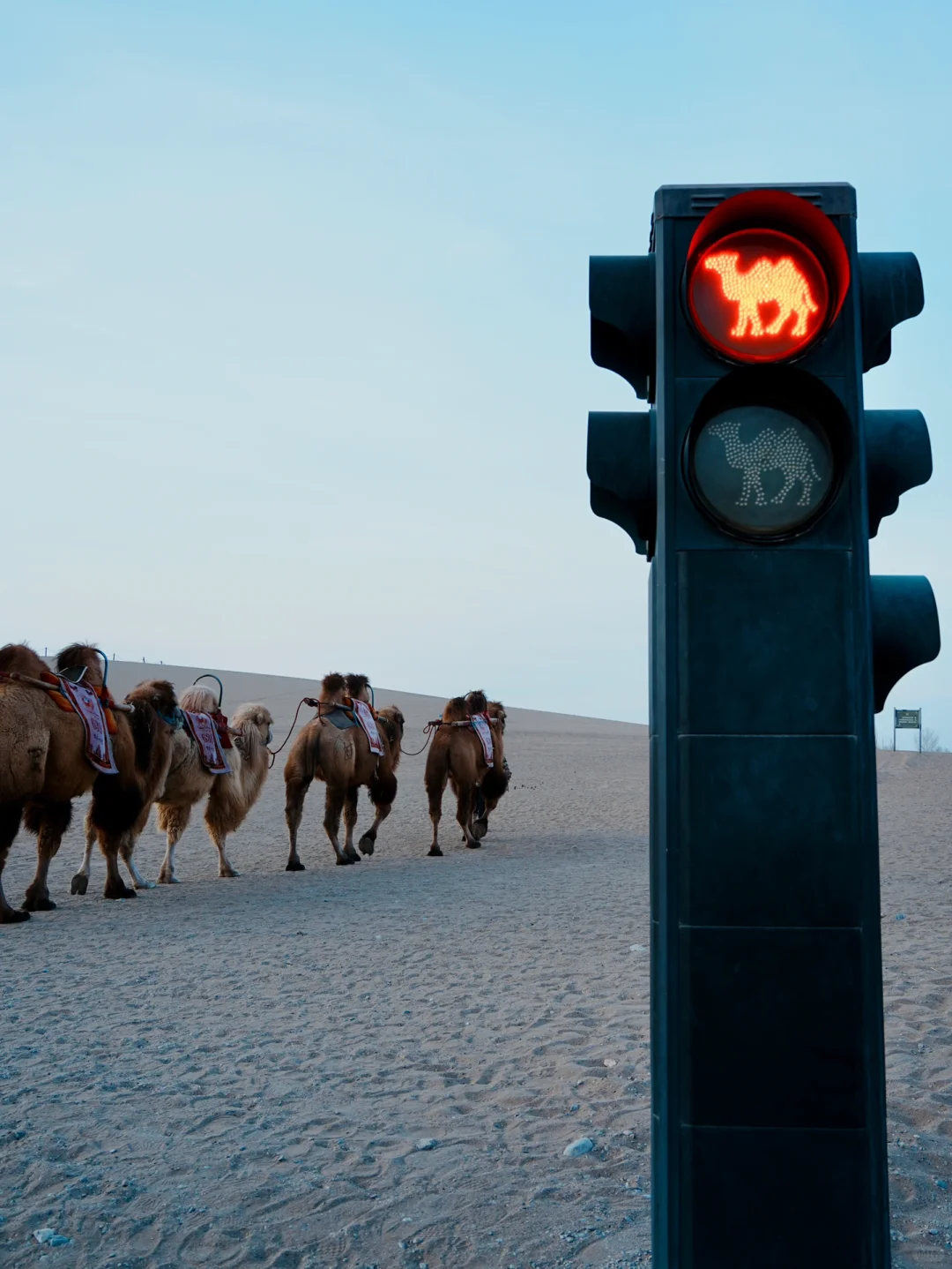 敦煌｜淡季2.5日攻略‼️第一次来可直接抄作业