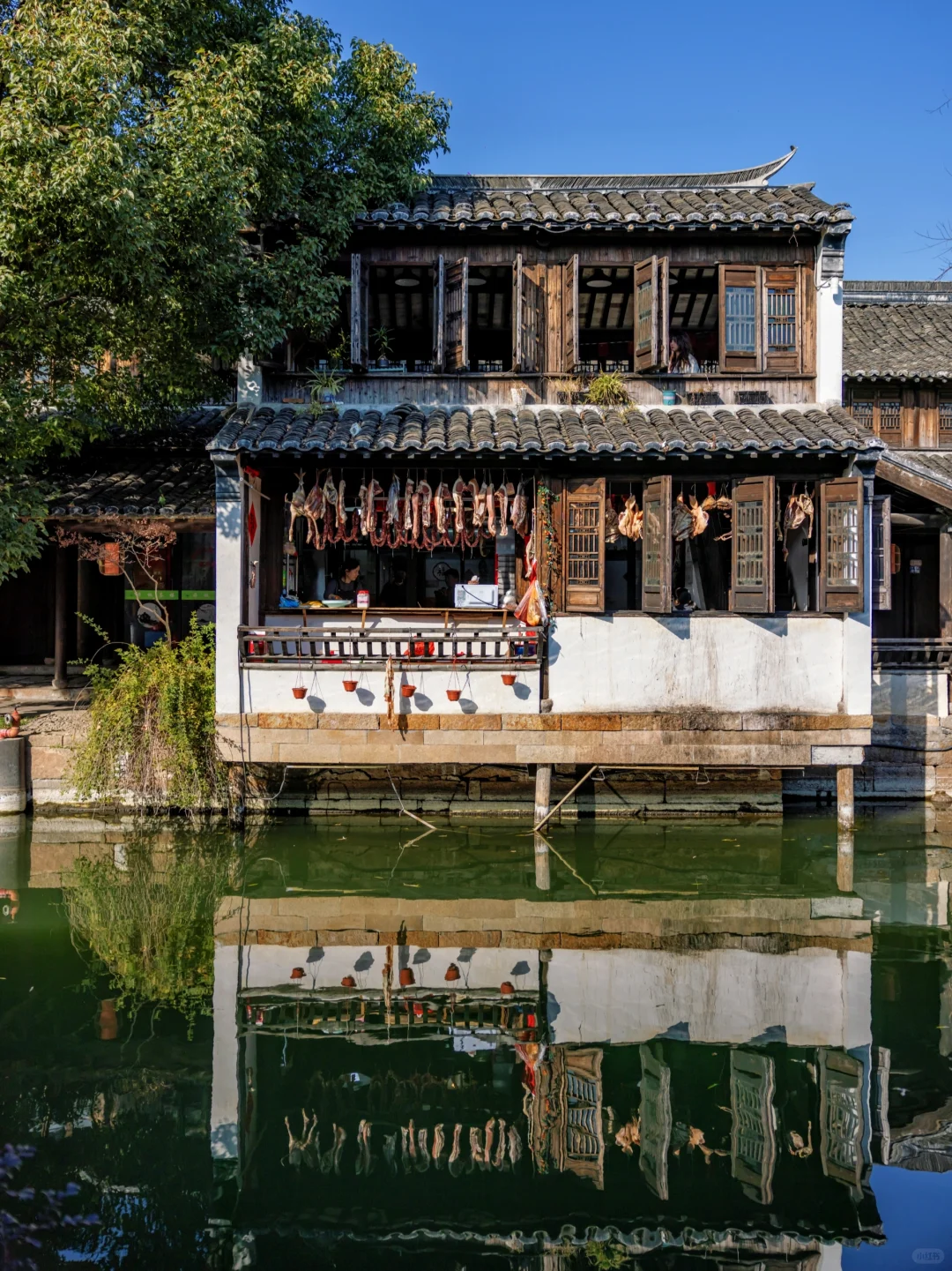 上海0.5h高铁直达 这座千年古镇藏不住了 ！