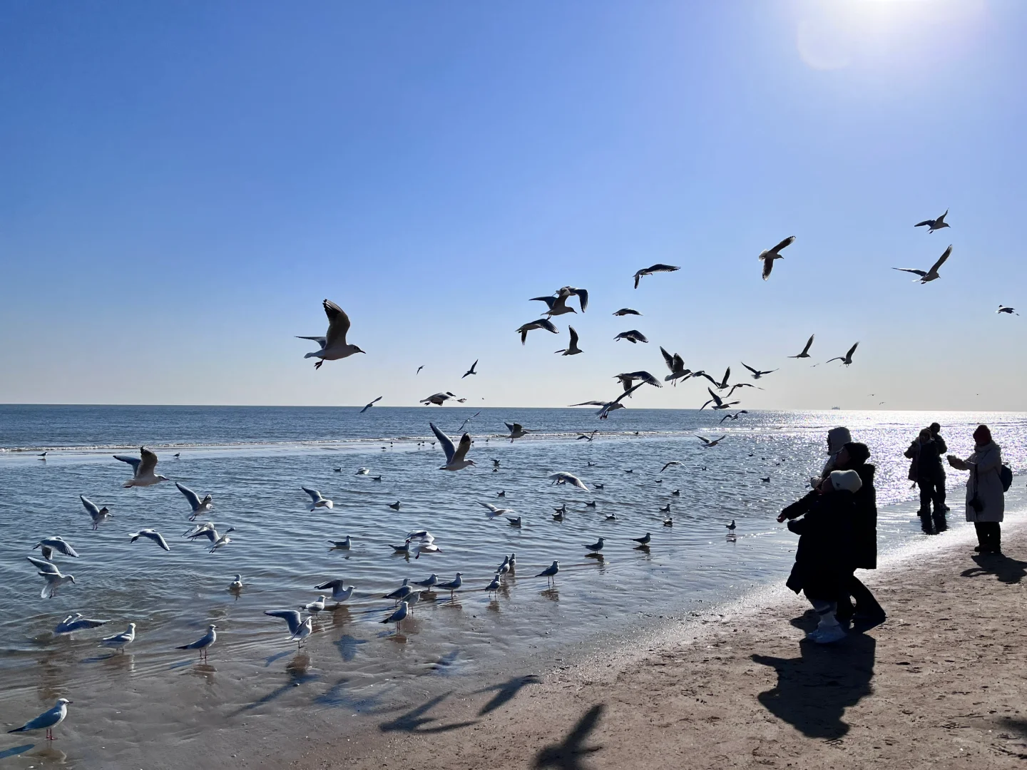 秦皇岛两天一夜旅行景点美食打卡推荐!