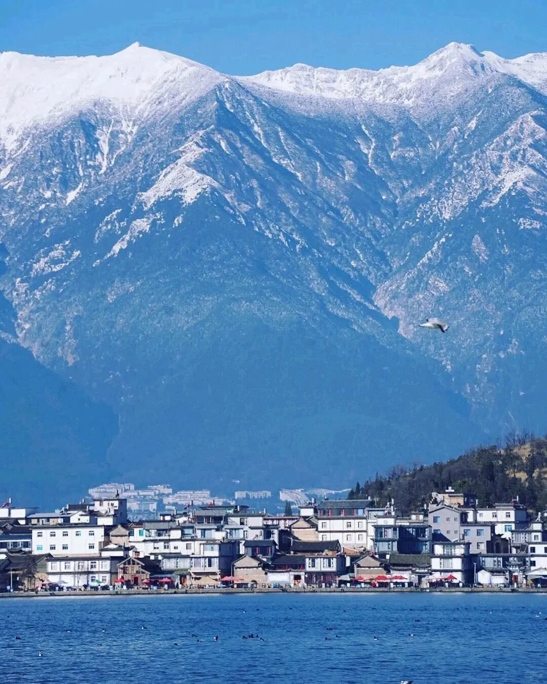 🌅云南旅游攻略6️⃣天玩转热门景点