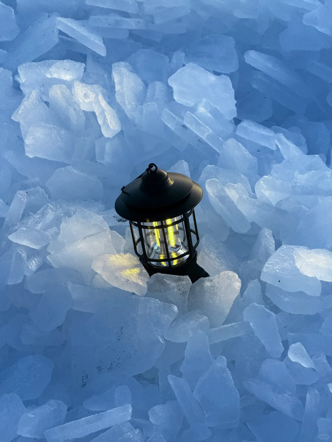 1.2今日赛里木湖实况，终于看到了雪地天鹅