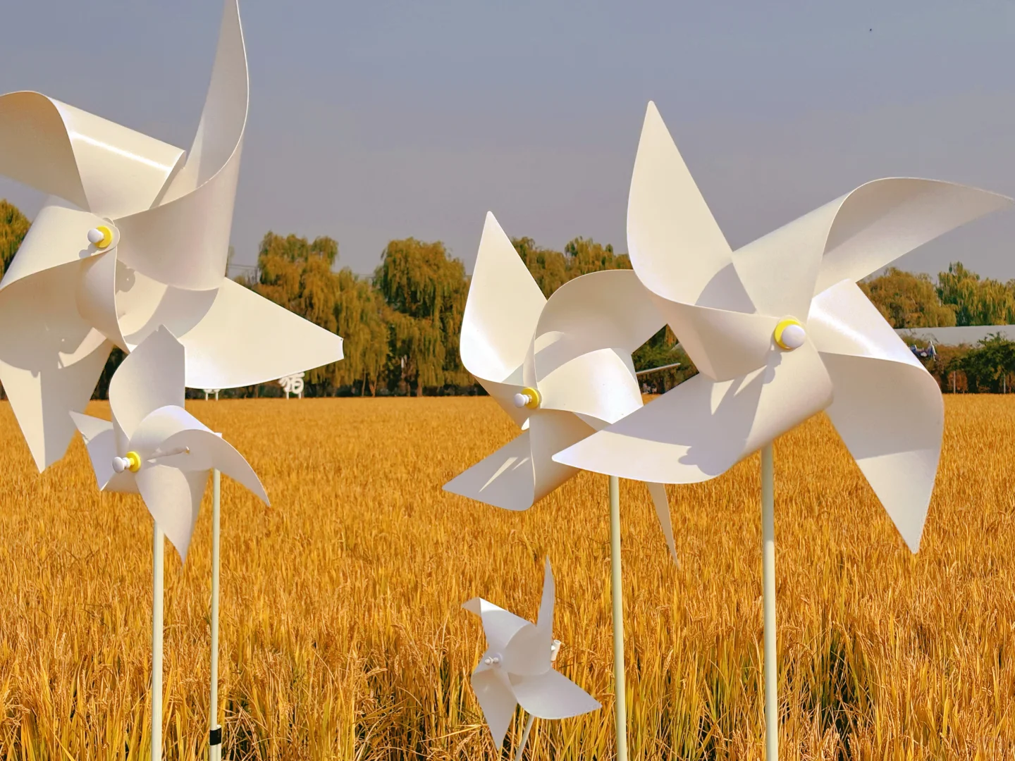 徐州📍两天一夜旅游攻略✔️不踩雷懒人版！