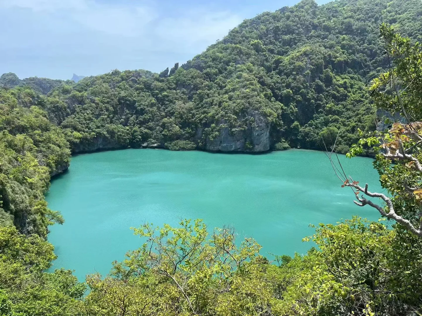 苏梅岛🔥安通国家海洋公园出海干货❗️❗