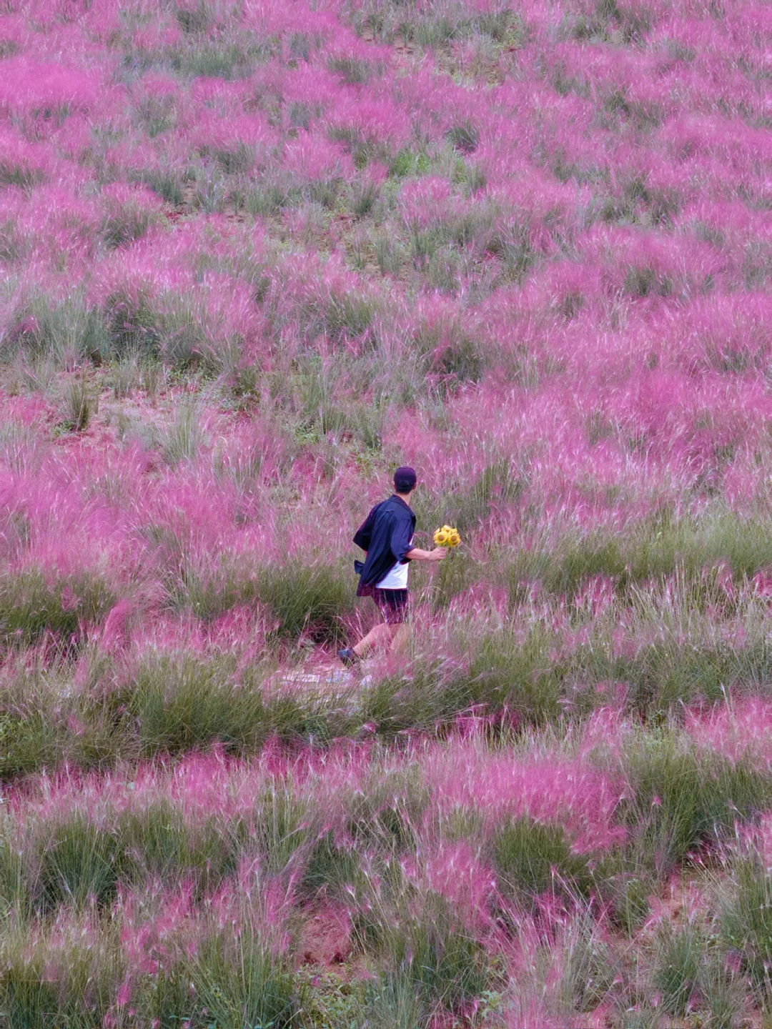 不是国外‼是江苏被严重低估的宝藏小城😭