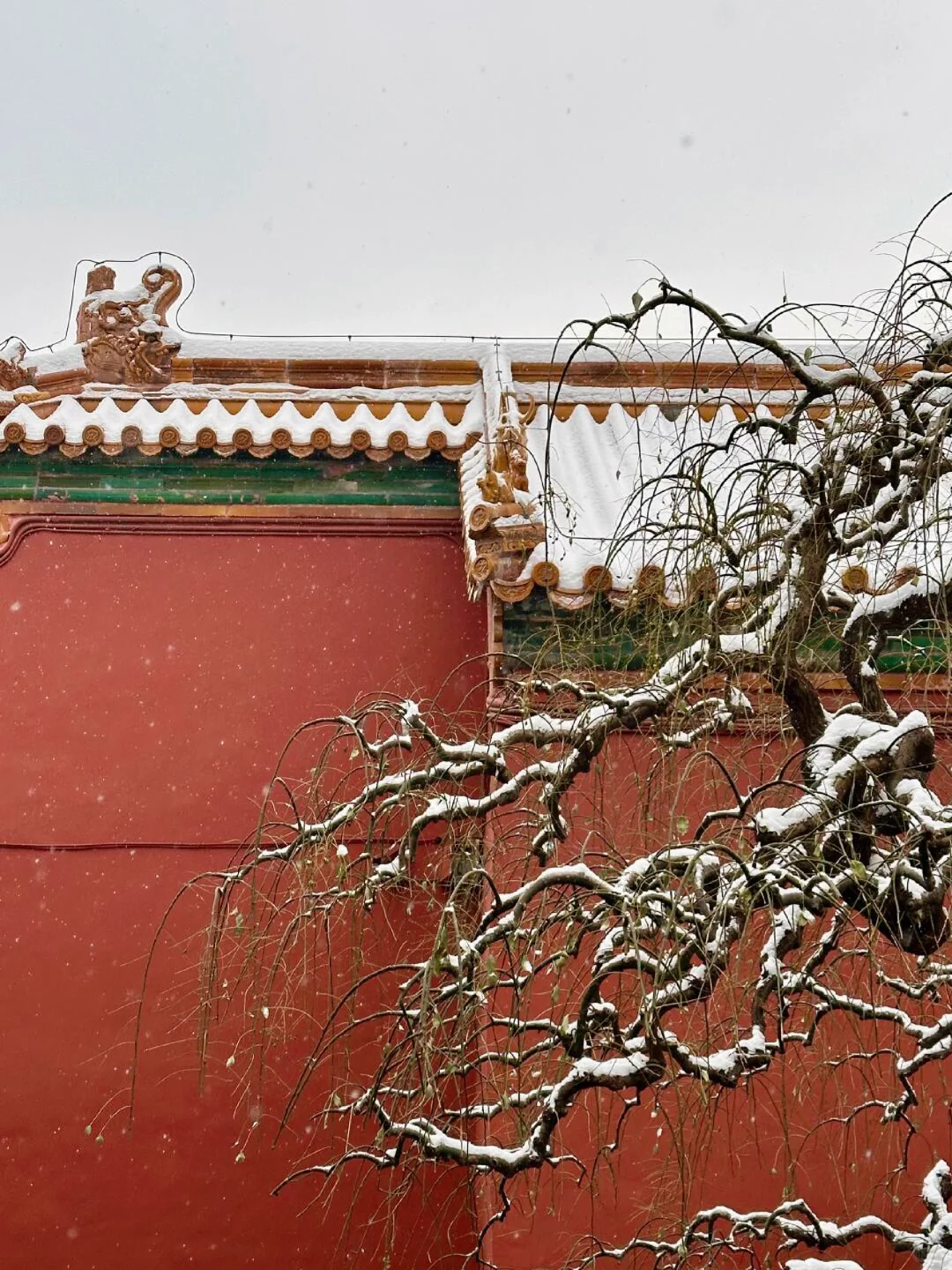 北京现状，1月要去的姐妹尽早改行程...