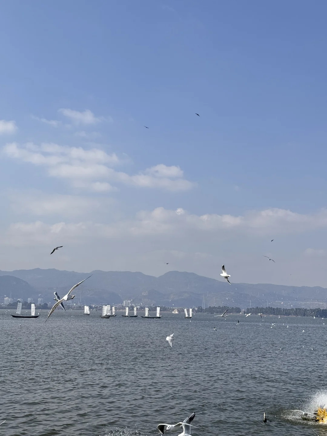 昆明免费景点你值得拥有