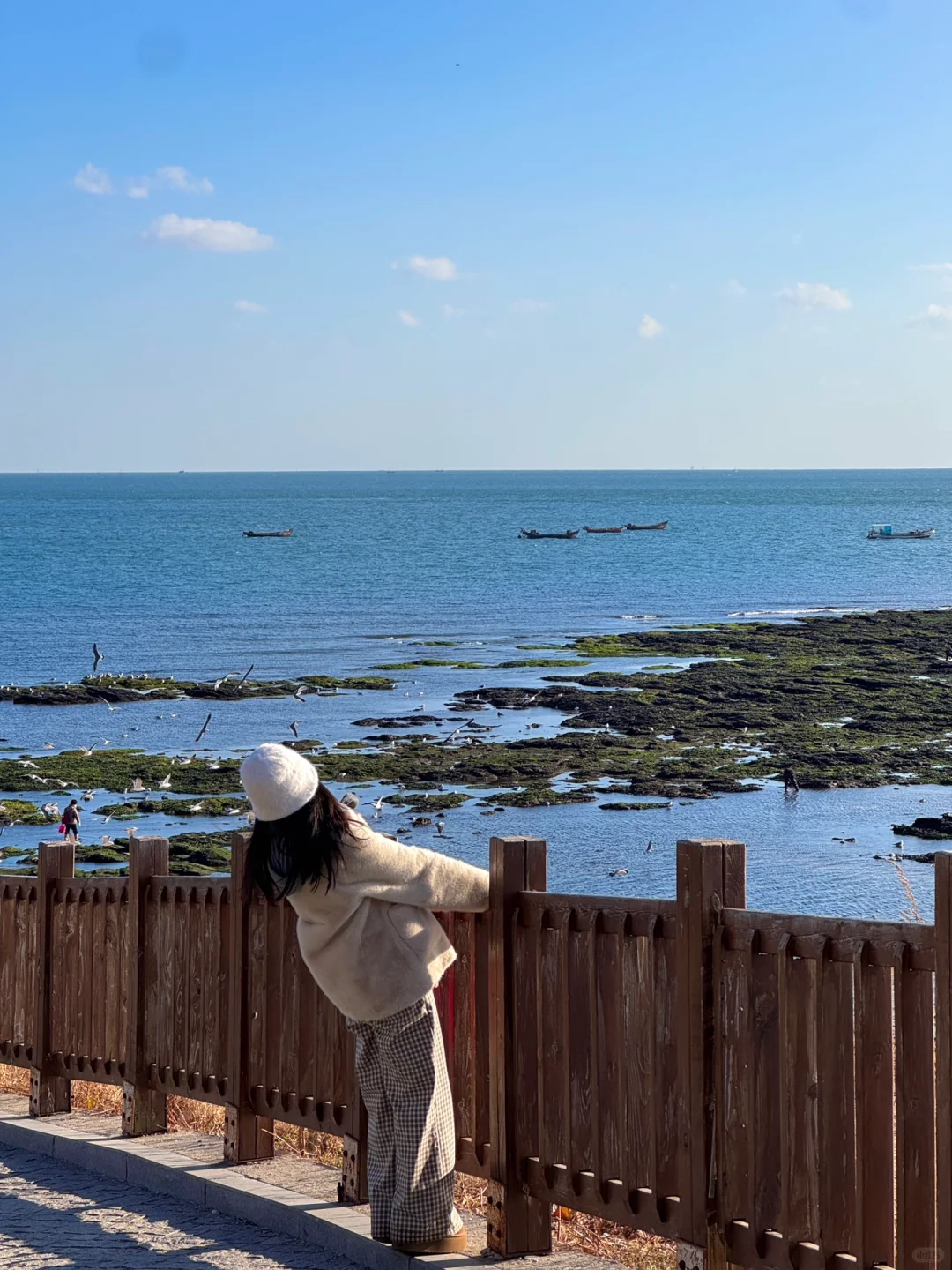 淡季的大连真的是人间理想（18图Live）