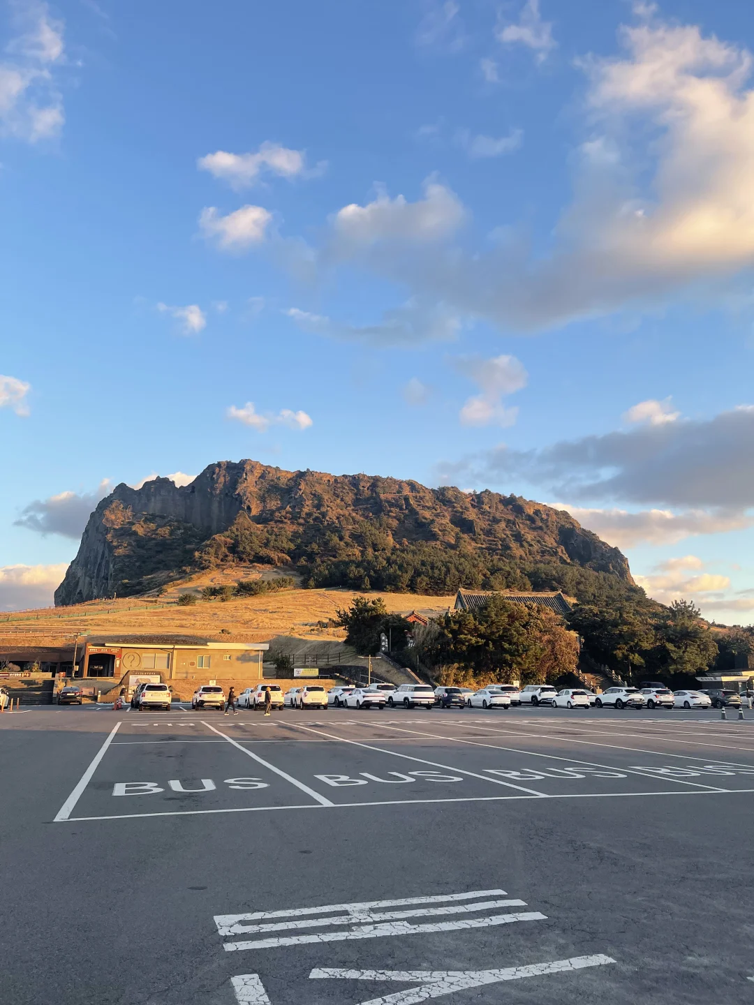 🇰🇷Jeju东线一日游完美攻略