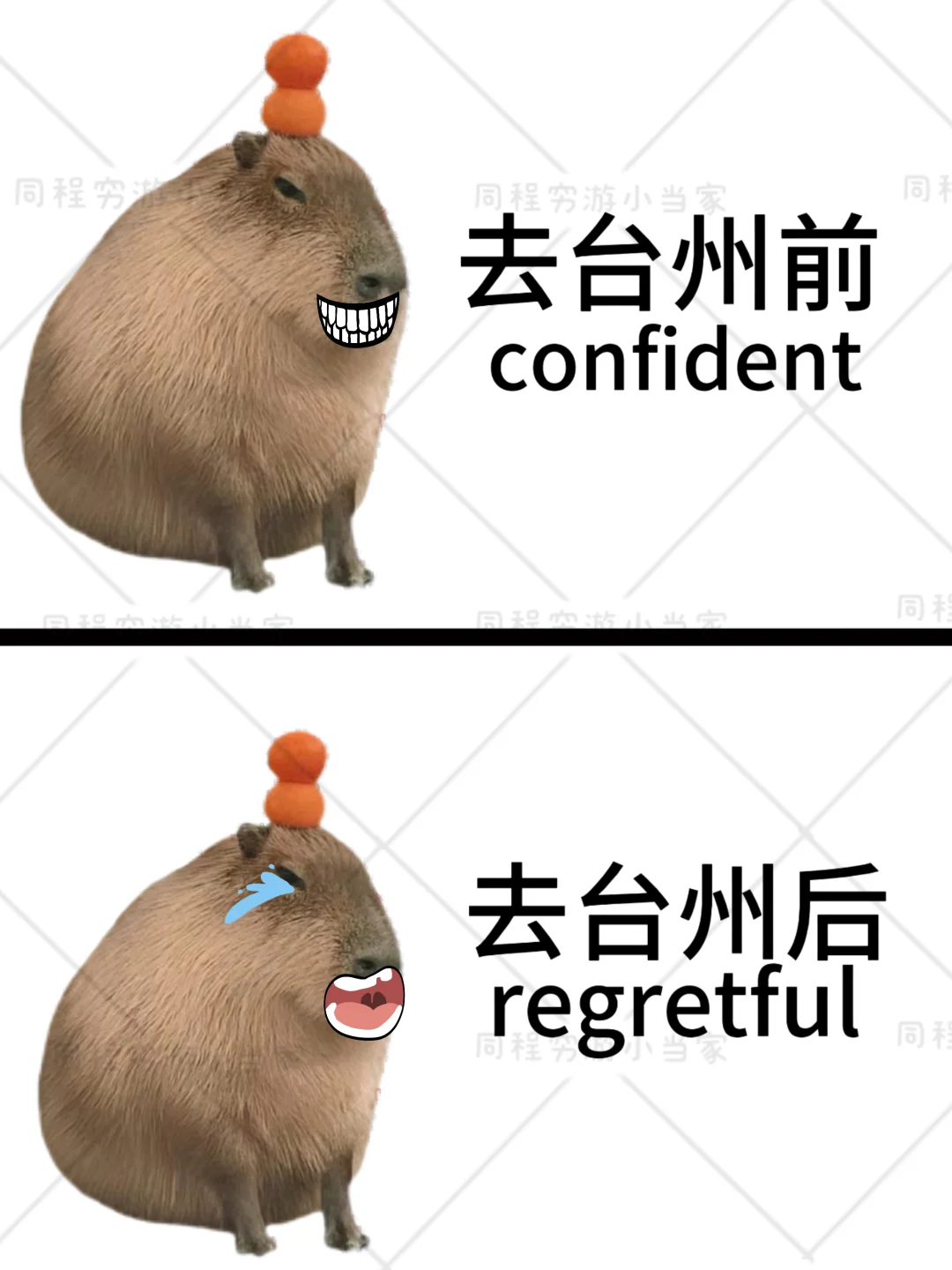 愿每个去台州旅游的人都能刷到这篇🙏