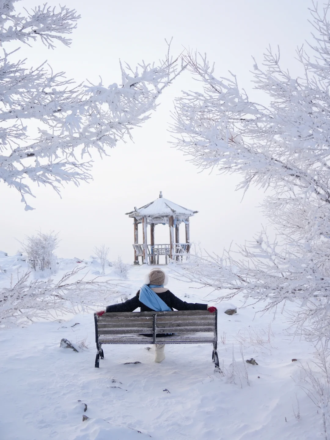 发现一座冬日浪漫小城，live绝了！（附攻略）