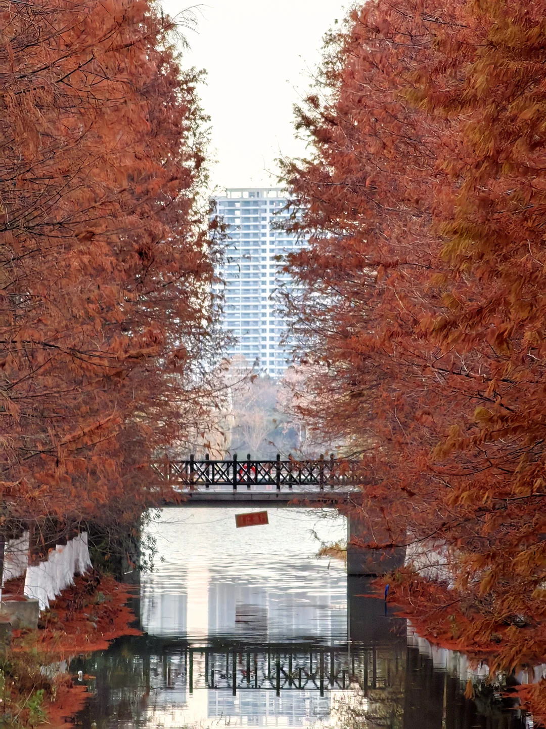 反向旅游｜盐城—盐渎公园