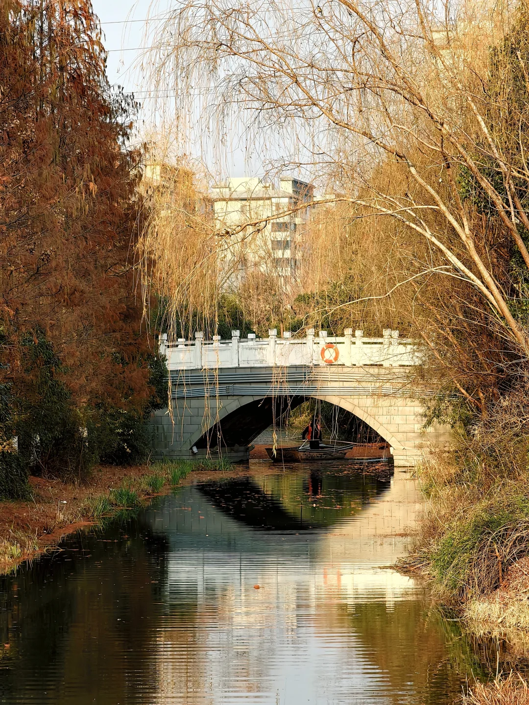 反向旅游｜盐城—盐渎公园