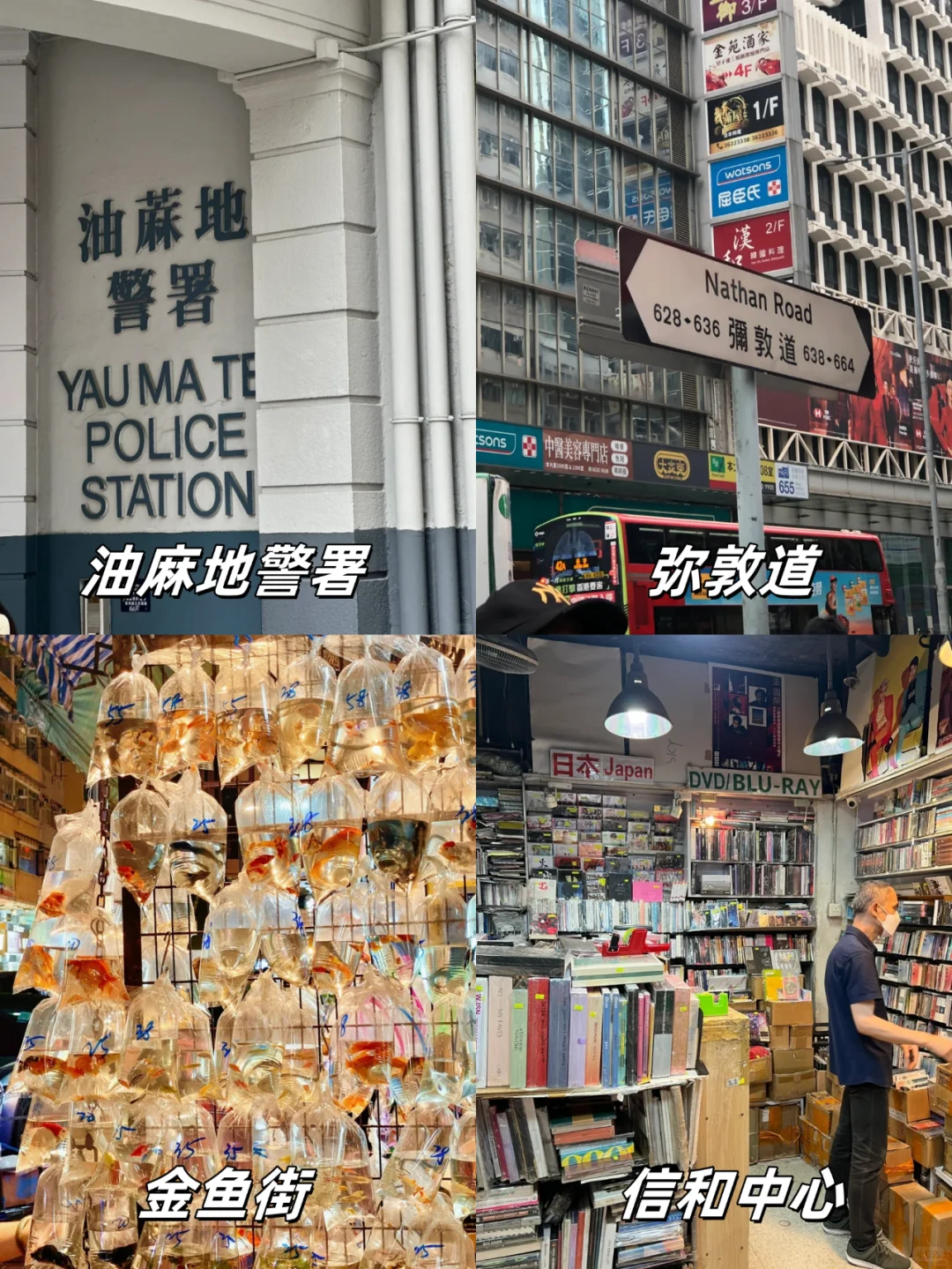 人均300😍香港一日游、不走回头路‼