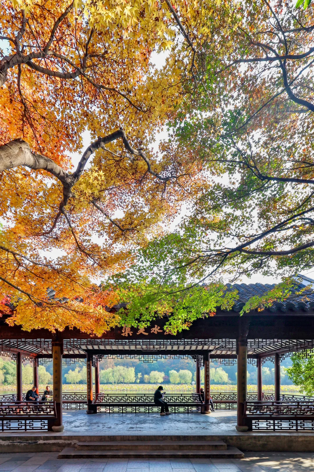 在杭州，我只去这5个地方