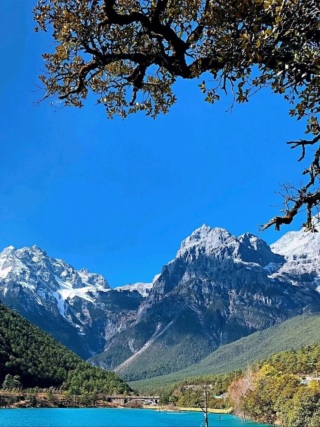 🌅云南旅游攻略6️⃣天玩转热门景点