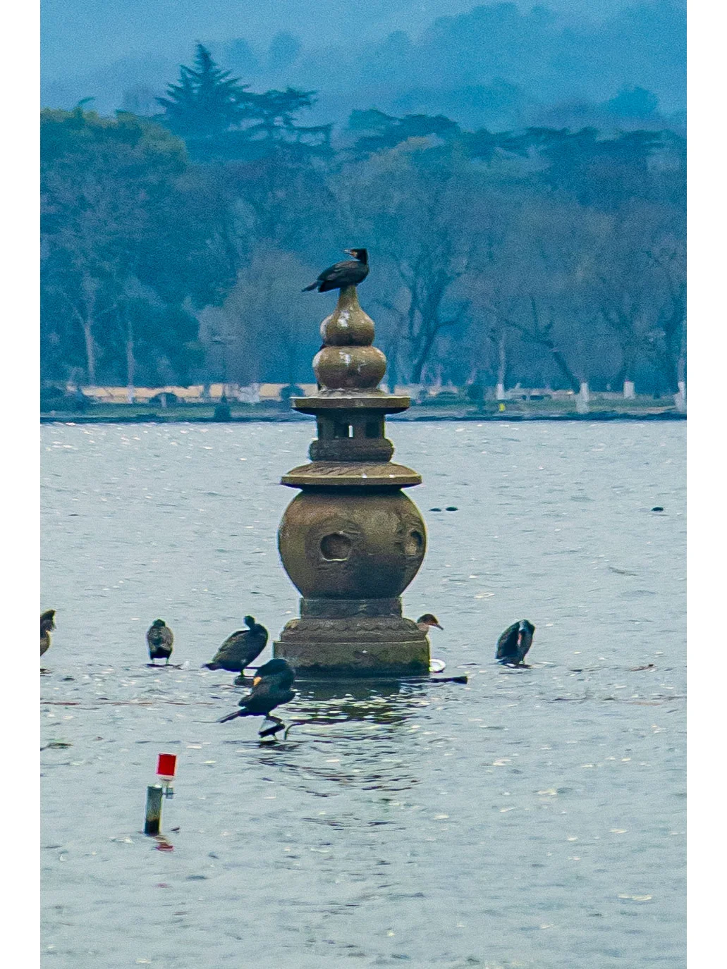 工作3年整理！杭州最全旅游攻略！1篇顶10篇