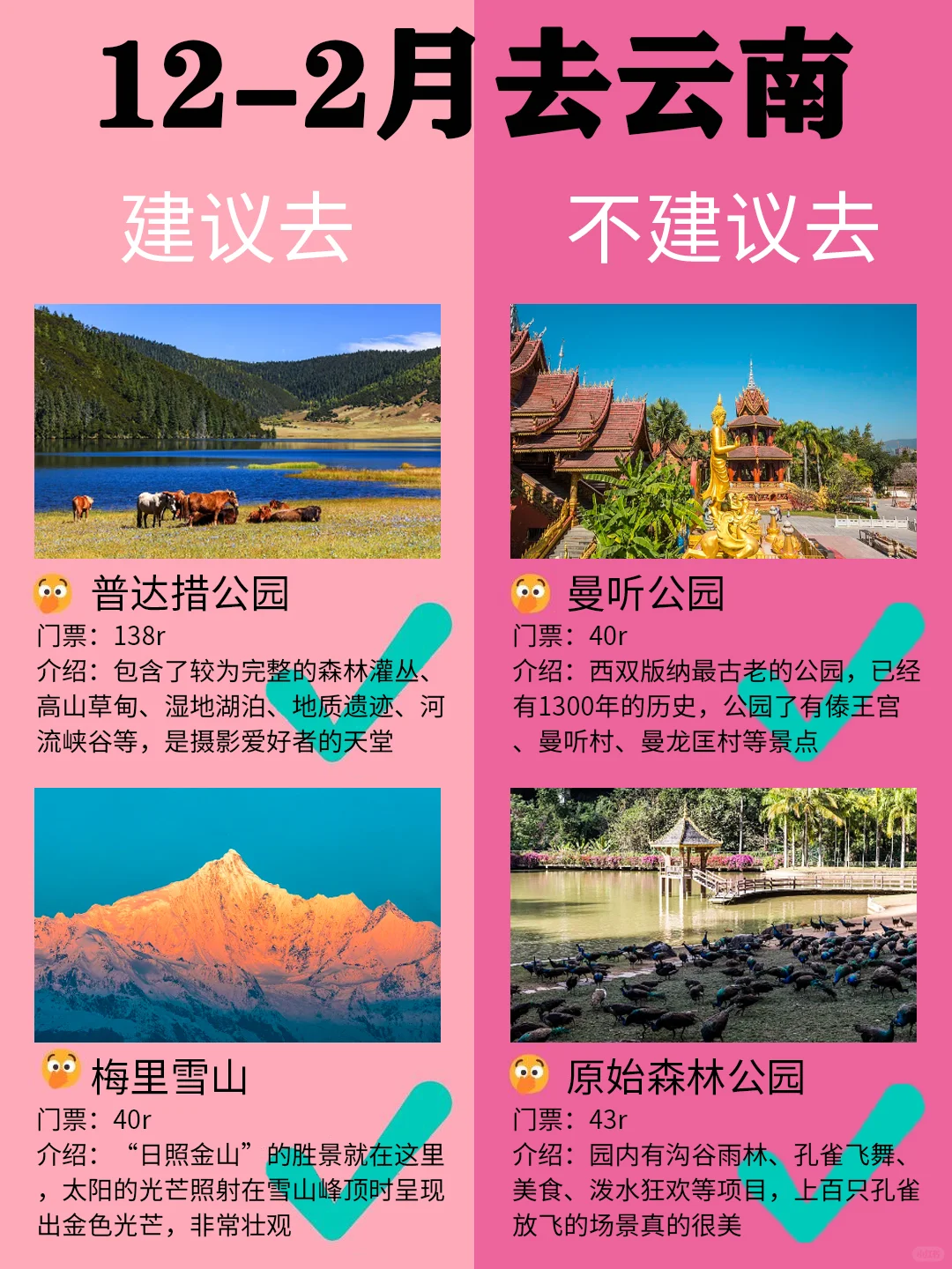 云南12-2月景点红黑榜📍建议去🆚不建议去