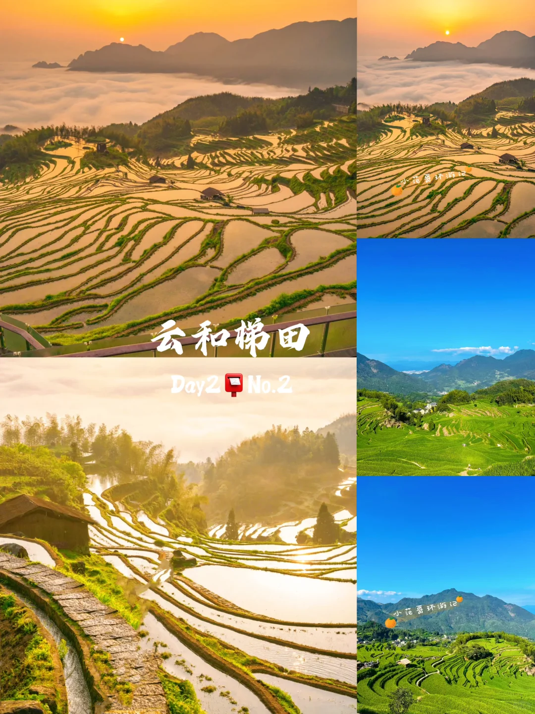 一年去100座城市🎉第83站📍丽水✅