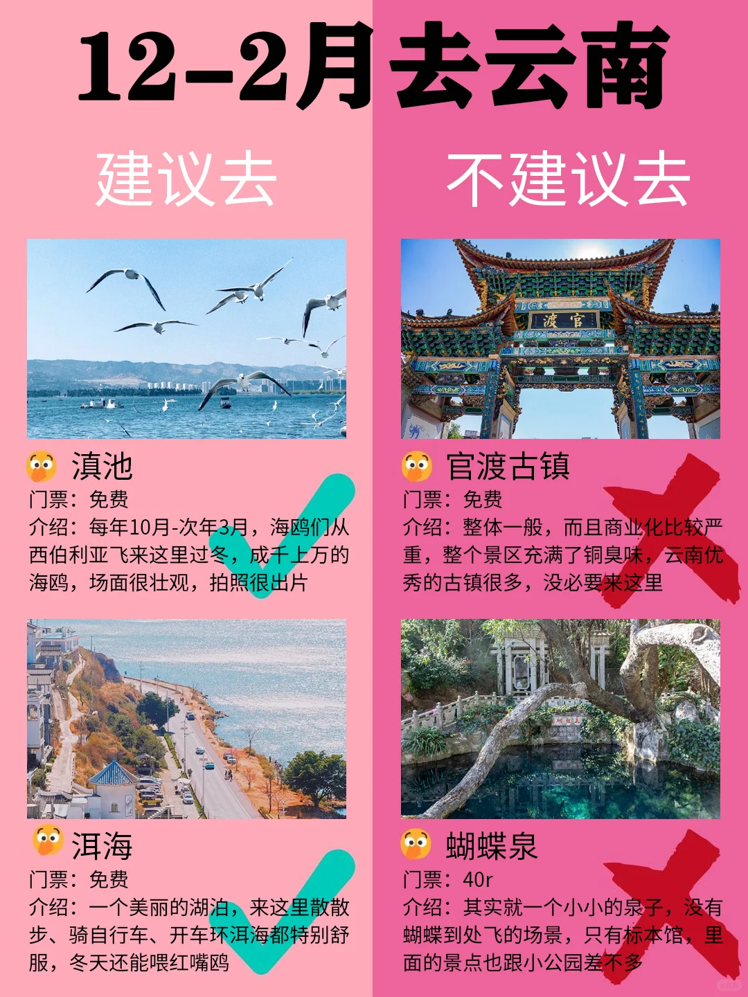 云南12-2月景点红黑榜📍建议去🆚不建议去