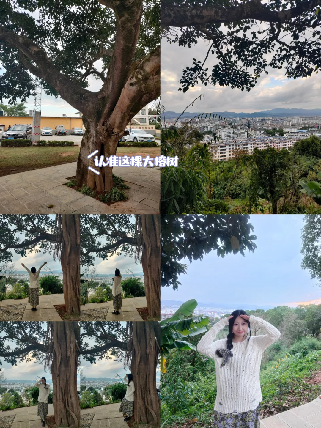 淡季出行｜普洱两天一晚享受慢生活旅游攻略