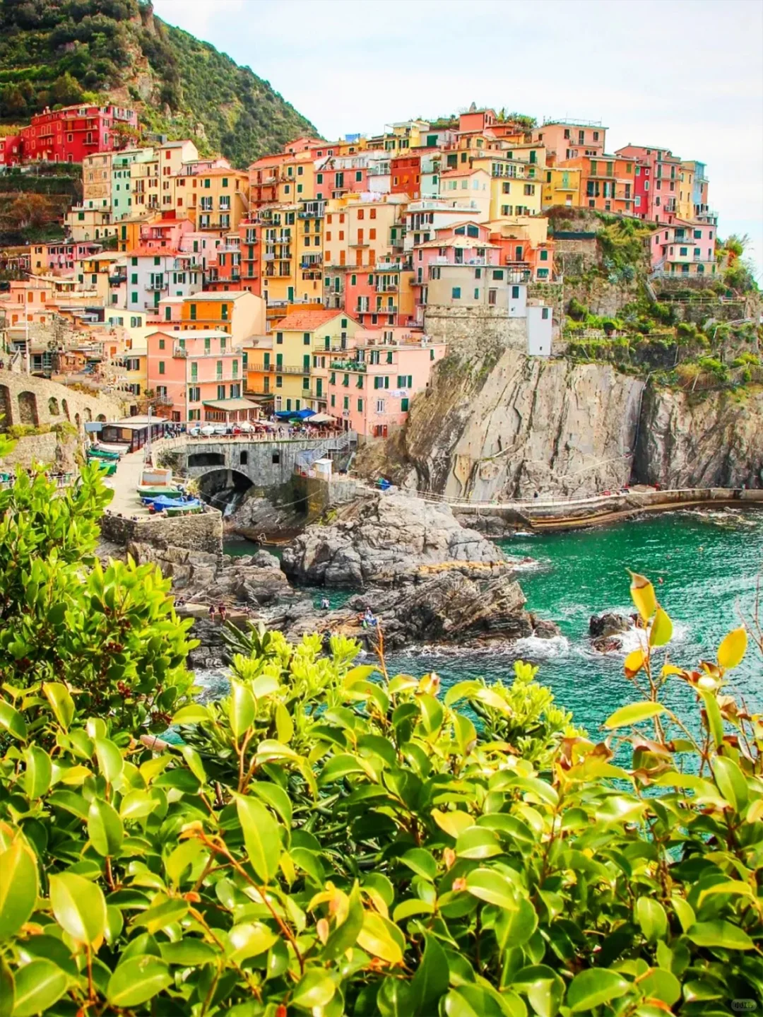 意大利玩了6天回来了,能劝一个是一个