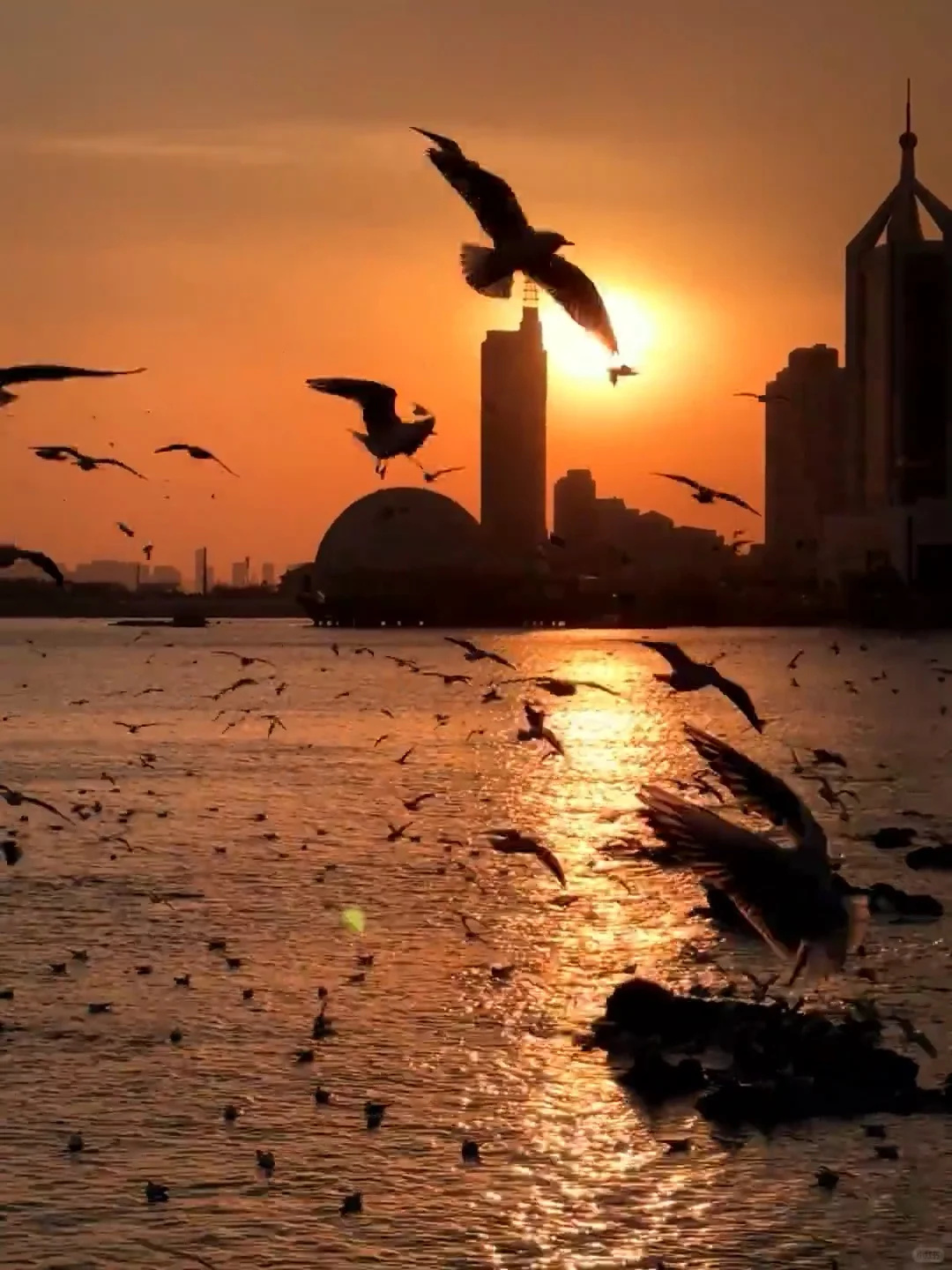 听劝🙋1-3月来青岛的姐妹🐎码住（巨全