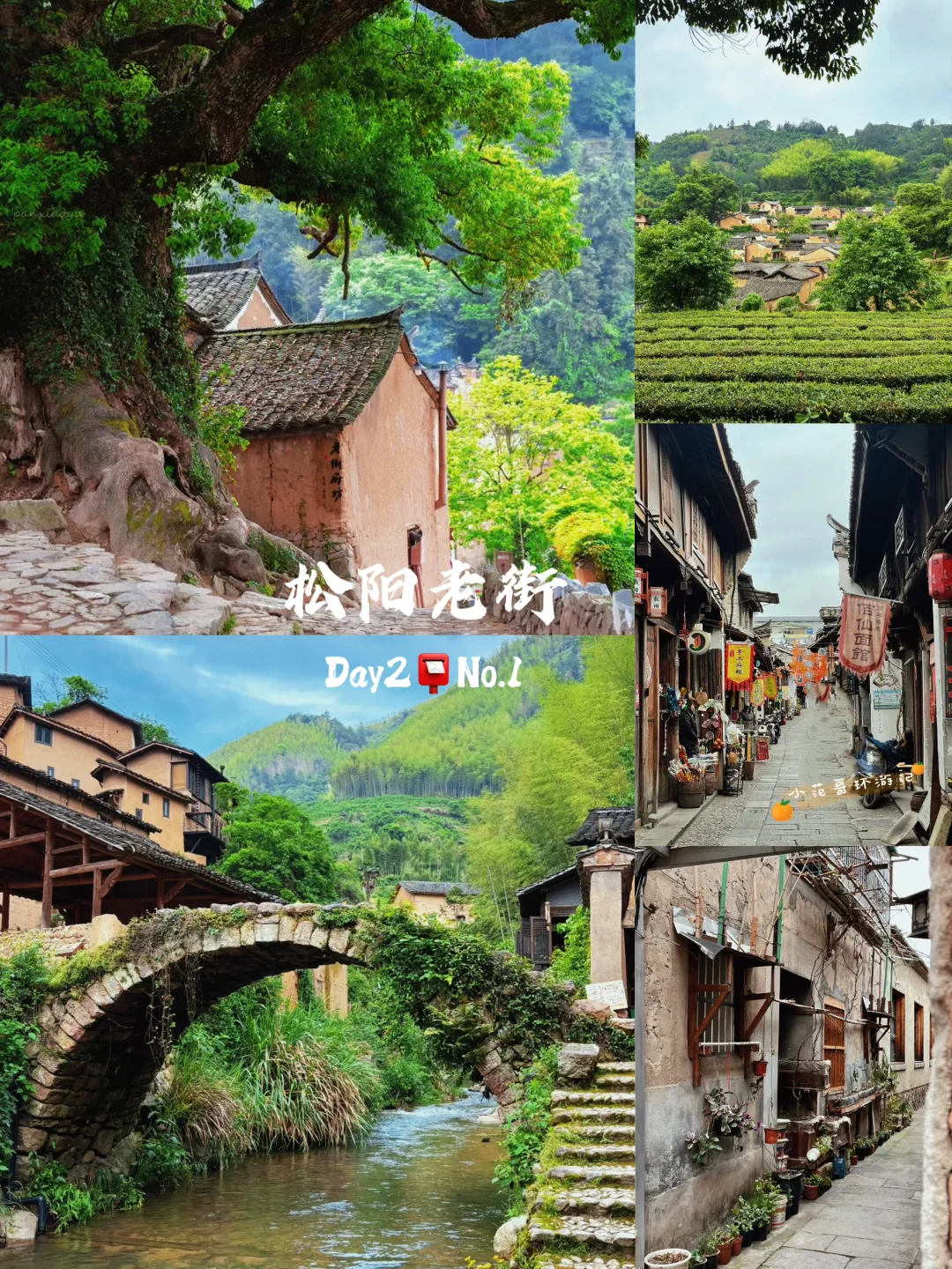 一年去100座城市🎉第83站📍丽水✅