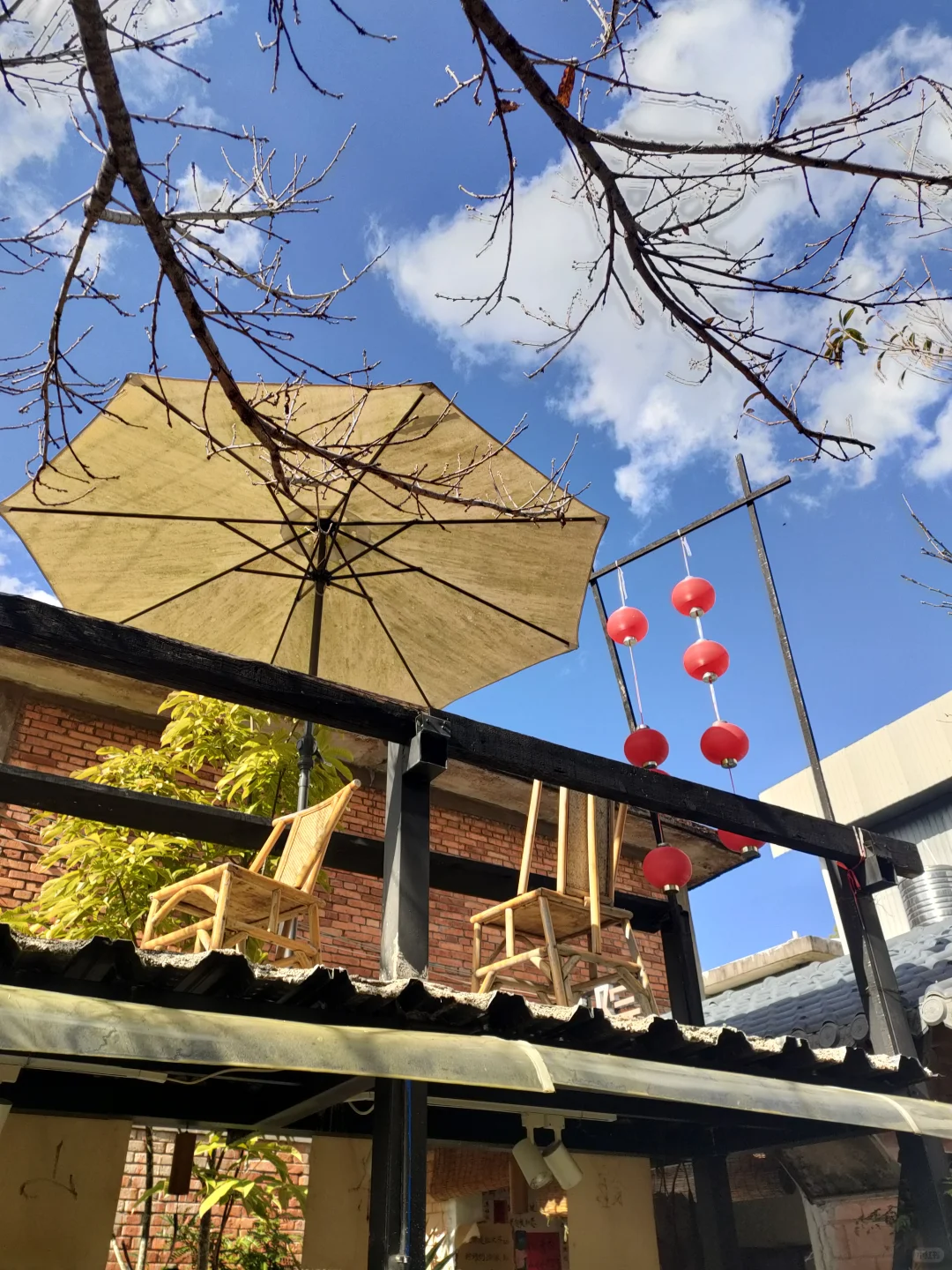 淡季出行｜普洱两天一晚享受慢生活旅游攻略