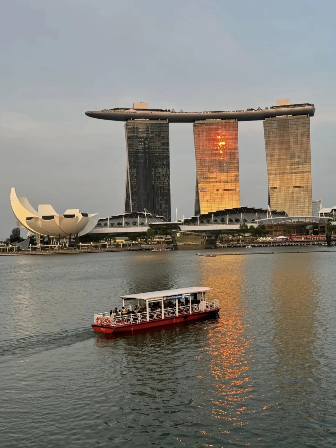 新加坡旅行攻略：必去景点与实用小贴士分享