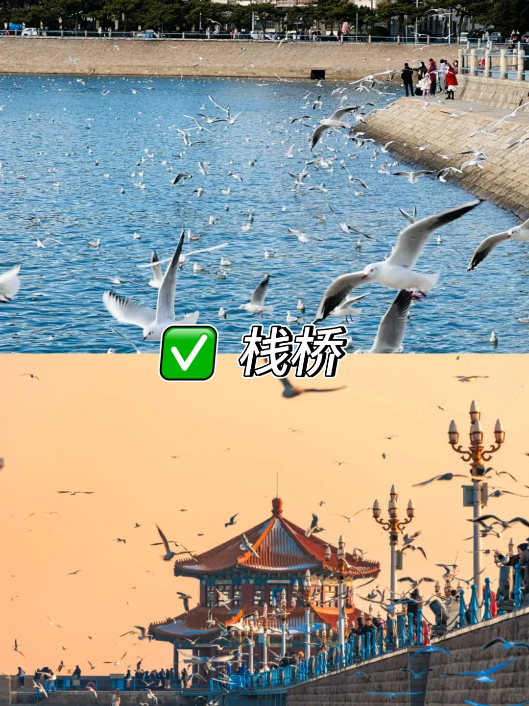 青岛 | 这九个地方必去💖 不去血亏-