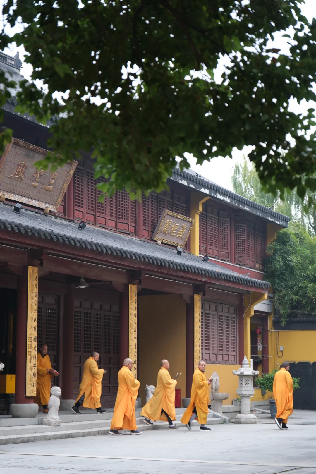 被低估的宝藏小城📍平湖周末游 抄作业吧