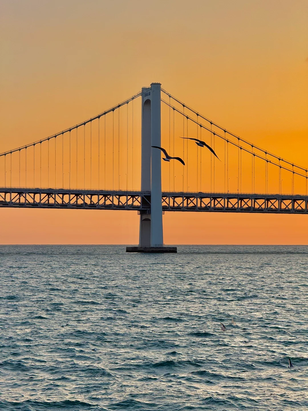 来大连请直接复制这条海边一日游路线！🌊