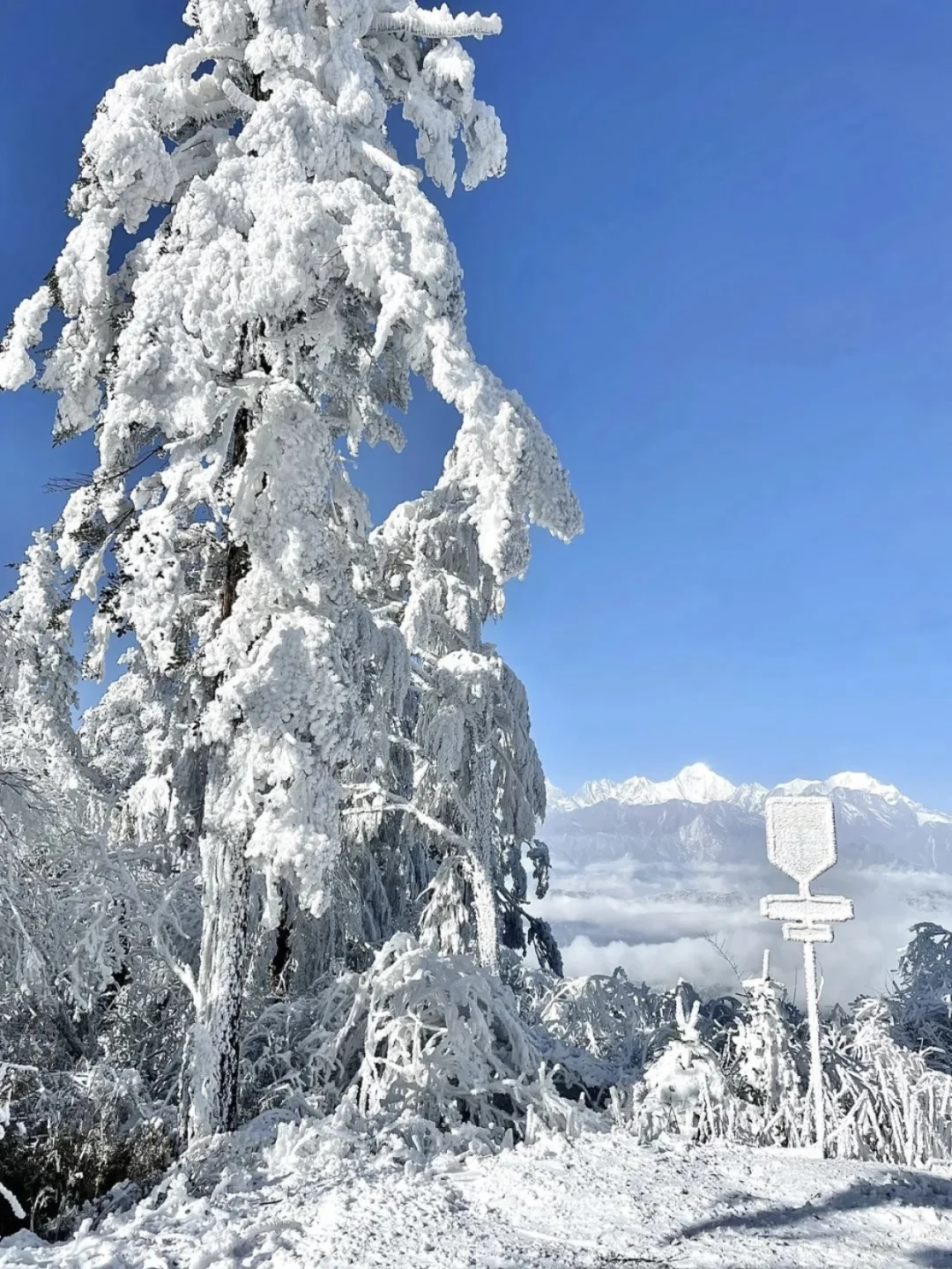 别跑远了❗️成都周边就有的玩雪看雾凇圣地