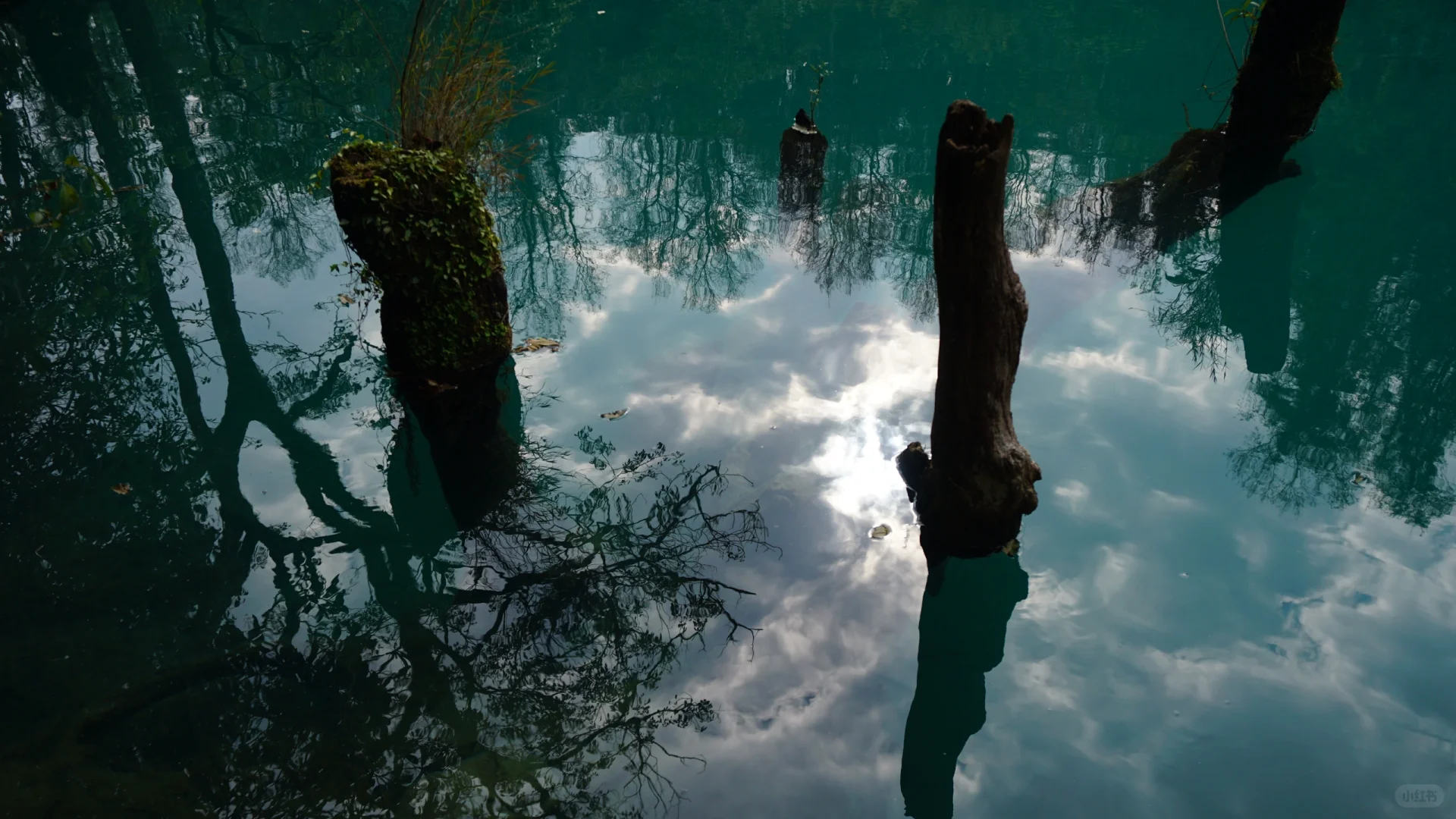 樟江幻境🏞️-Day110-贵州黔南州荔波篇