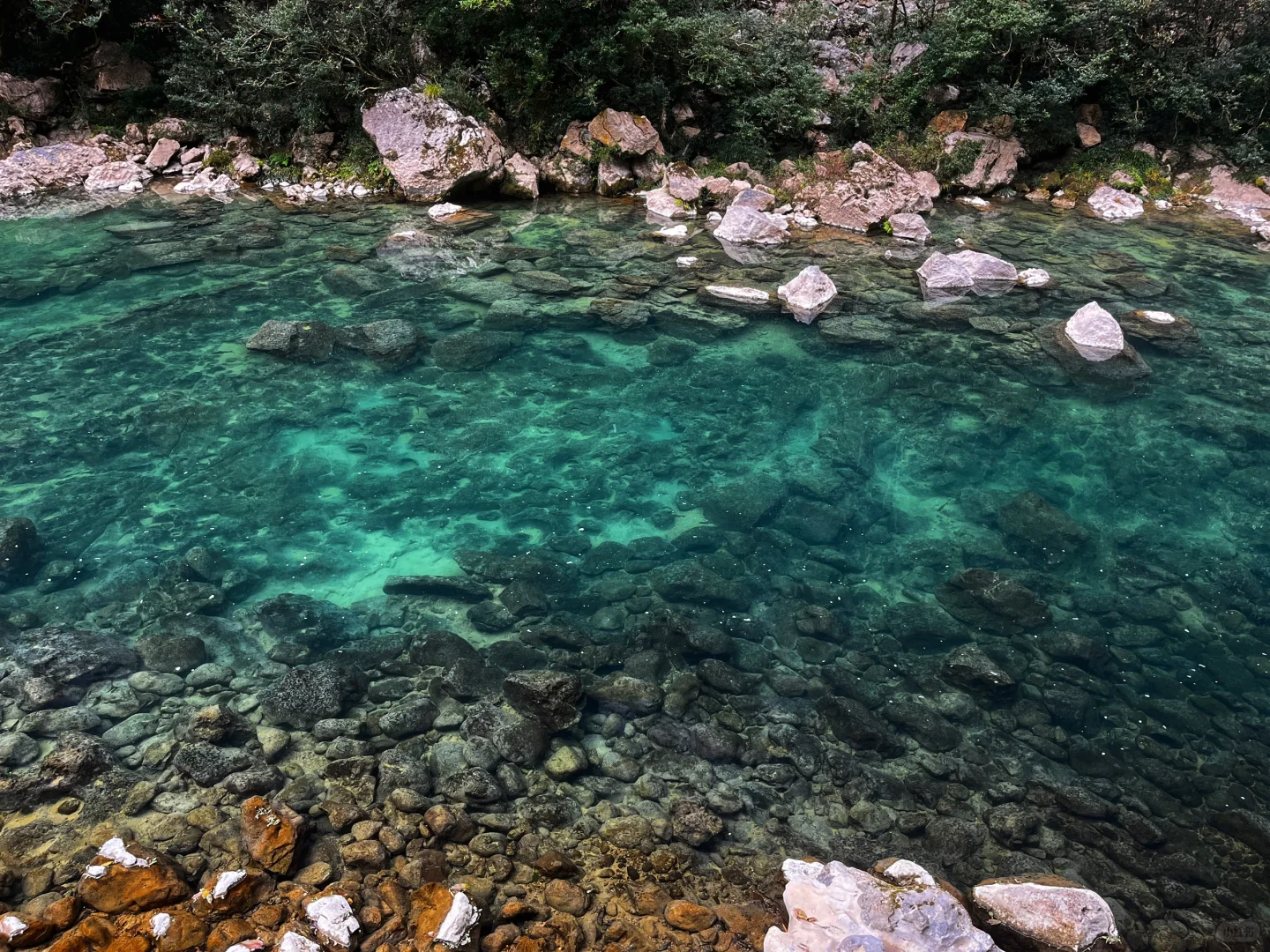 樟江幻境🏞️-Day110-贵州黔南州荔波篇