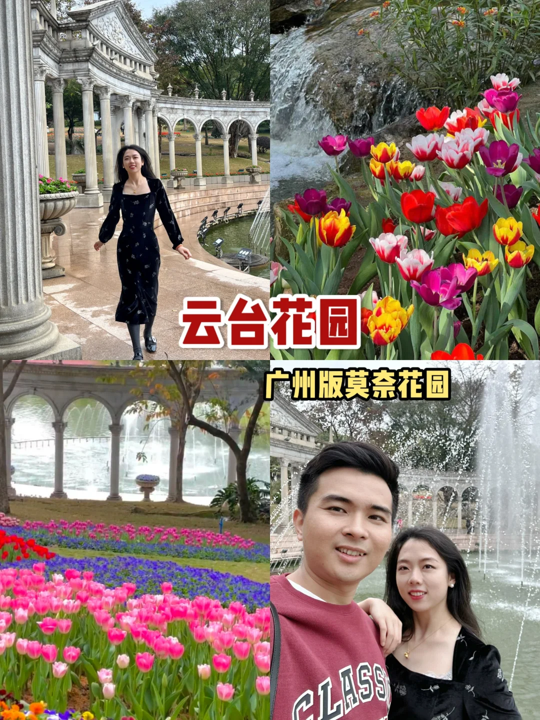 广州朋友收到通知没？云台花园郁金香要来了